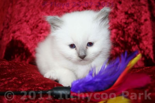 klik voor een vergroting