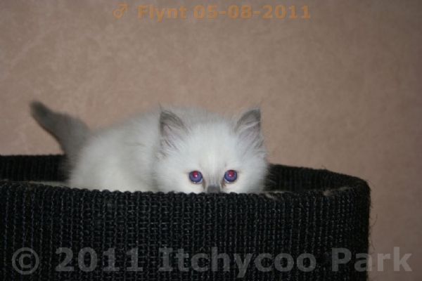 klik voor een vergroting