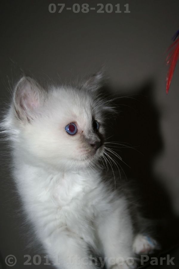 klik voor een vergroting