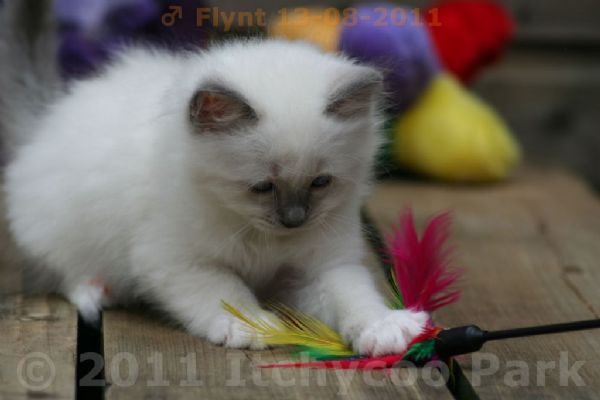 klik voor een vergroting