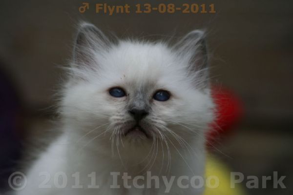 klik voor een vergroting