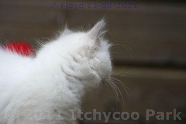 klik voor een vergroting