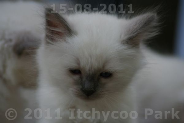 klik voor een vergroting