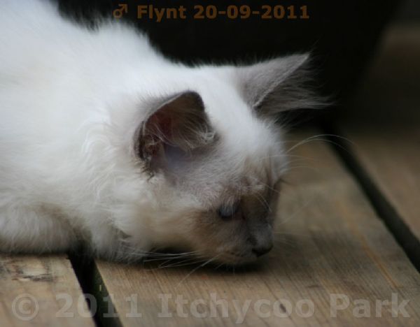 klik voor een vergroting