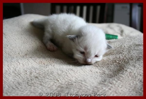 klik voor een vergroting