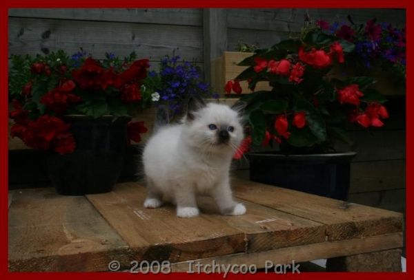 klik voor een vergroting