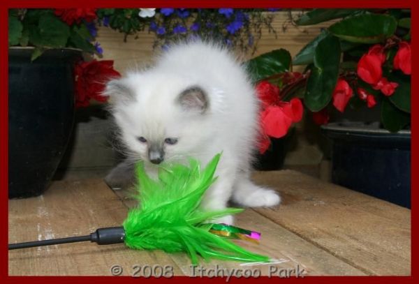 klik voor een vergroting