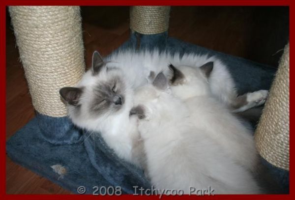 klik voor een vergroting