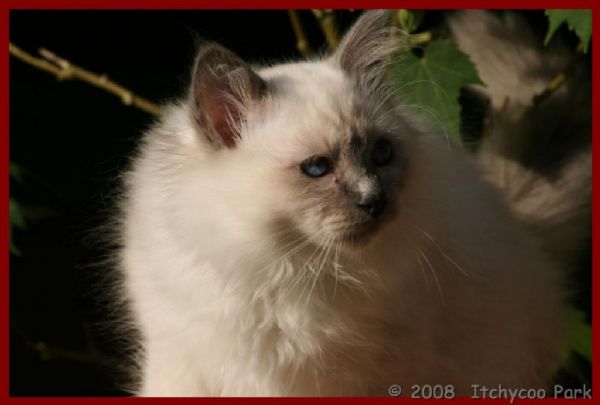 klik voor een vergroting