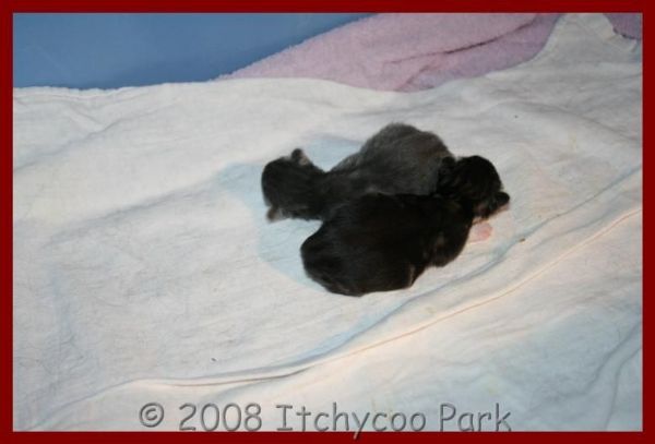 klik voor een vergroting