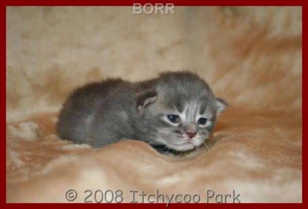 klik voor een vergroting