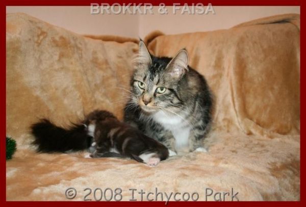 klik voor een vergroting