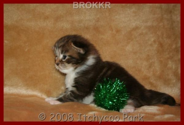 klik voor een vergroting