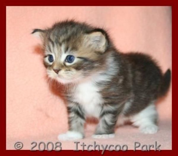 klik voor een vergroting