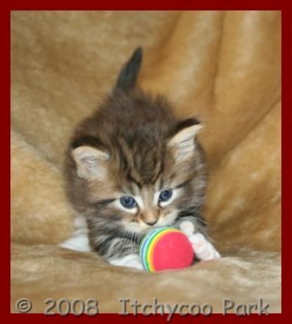 klik voor een vergroting