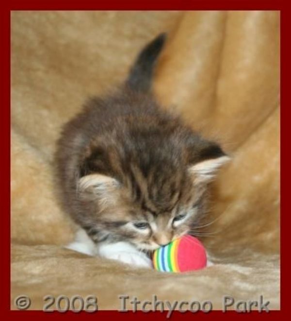 klik voor een vergroting