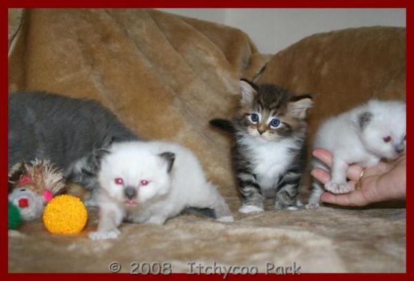 klik voor een vergroting