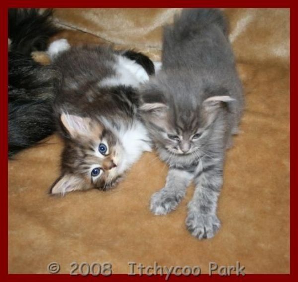 klik voor een vergroting