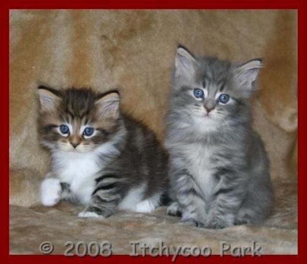 klik voor een vergroting