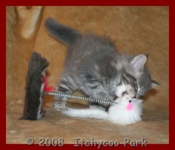 klik voor een vergroting