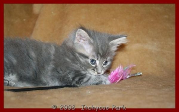 klik voor een vergroting