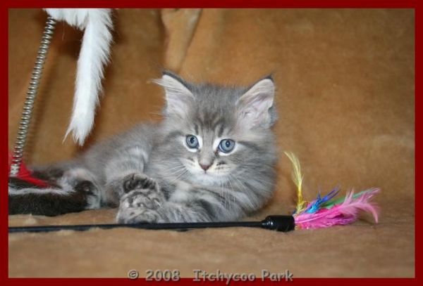 klik voor een vergroting