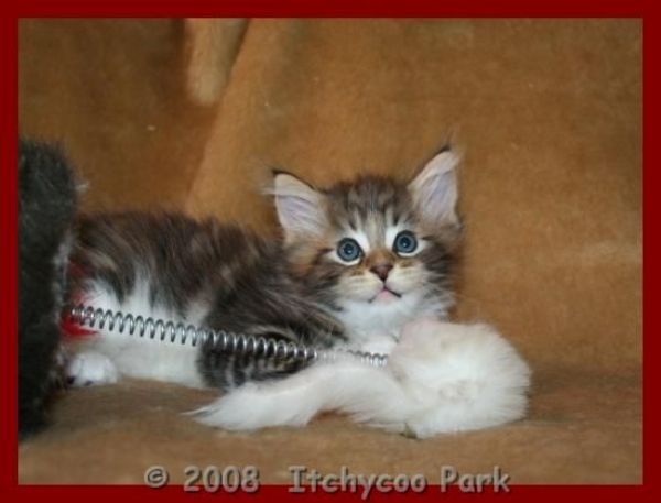 klik voor een vergroting