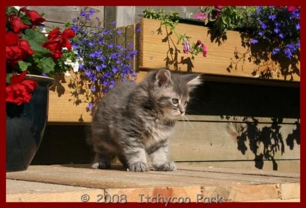 klik voor een vergroting