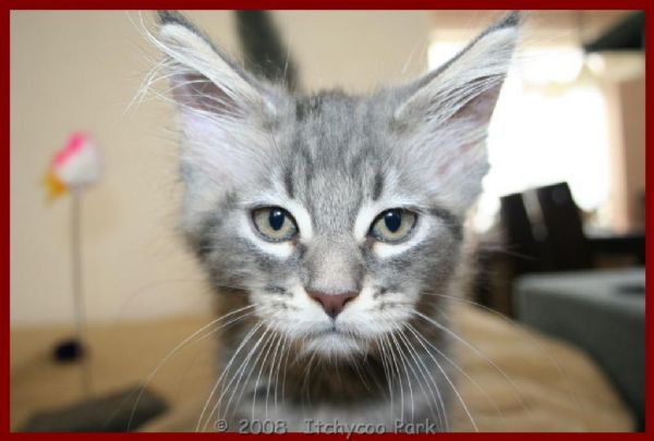 klik voor een vergroting