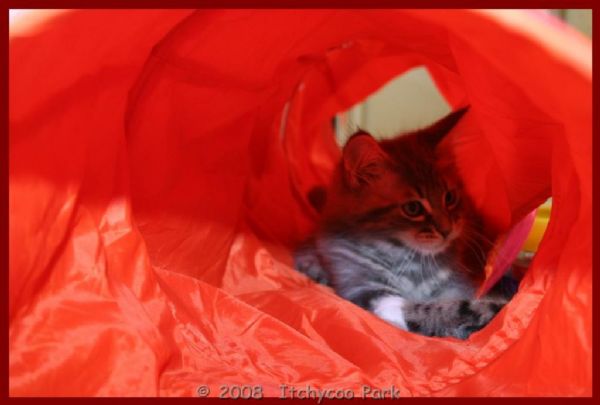 klik voor een vergroting