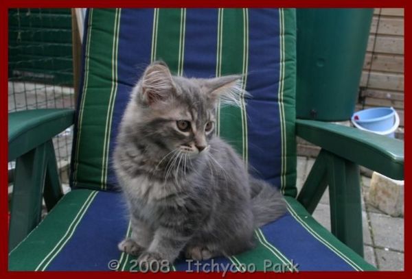 klik voor een vergroting